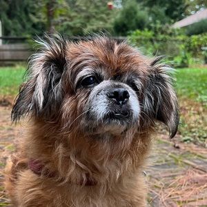 Meet your Posher, Steven